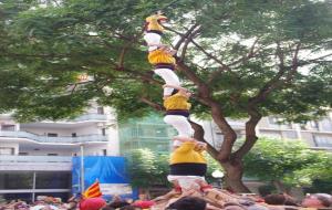 Els Bordegassos porten els seus castells a la Diada nacional