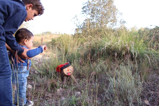 Els Tions de Nadal s'escampen pels boscos de Santa Fe del Penedès. EIX