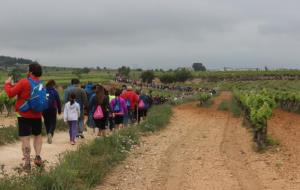 Èxit de la primera Caminada Solidària contra el Càncer – Gotims d’Esperança