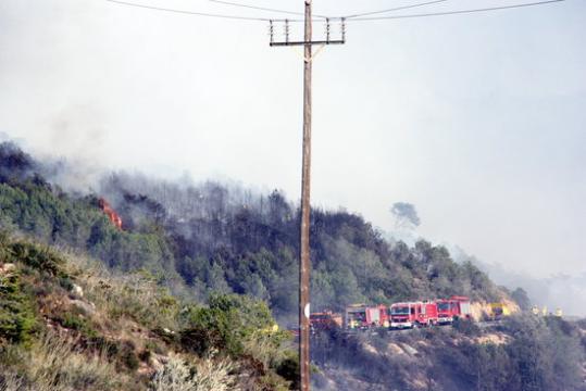 Flames de l'incendi d'Albinyana i dotacions de Bombers. ACN