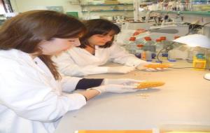 Imatge de dues investigadores en un laboratori de l'ETSEA de la Universitat de Lleida. ETSEA-UdL