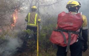 Incendi forestal a Calafell