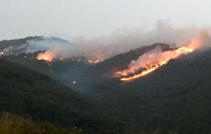 Incendi forestal a Olivella. Eix