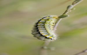 IV Ral·li Segura Viudas de Fotografia de Natura