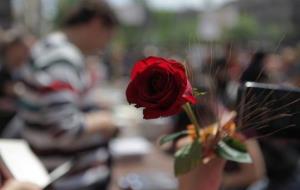 La rosa, junt amb els llibres, és la protagonista de Sant Jordi. ACN