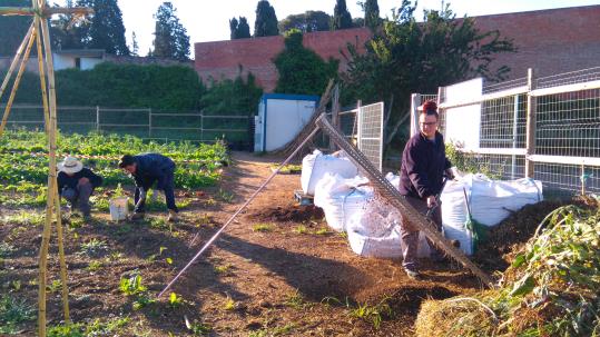 L’Ajuntament de Vilafranca contracta deu joves participants a la Casa d’Oficis De la Terra 5 durant sis mesos. Ajuntament de Vilafranca