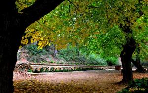 Les Fonts de les Dous, a la riera de Pontons 