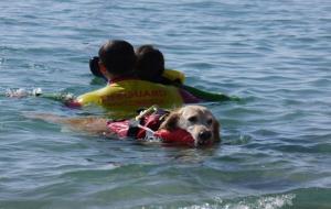 L'Escola de Rescat Aquàtic Caní vol establir la seva seu definitiva a Vilanova. Newfywater