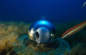 L'OBSEA és un observatori submarí cablejat a uns 4 quilòmetres de la costa de Vilanova i la Geltrú. OBSEA
