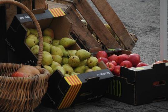 Mercat de la Terra. Ajuntament de Sitges