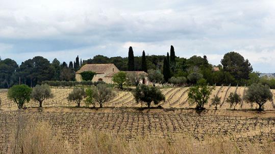 Molí de Vent. Eix