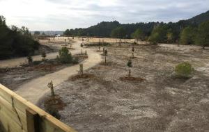 Parc dels Talls, l’espai natural dels pèlags del Vilobí del Penedès