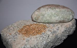 Pedres de molí localitzades al Planot de la Timba de Santa Bàrbara, a Castellet i la Gornal i l'Arboç