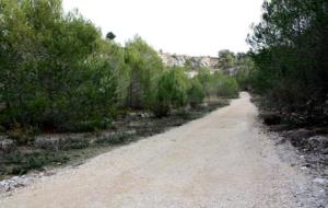 Pla general d'un dels camins recuperats al Parc dels Talls de Vilobí del Penedès