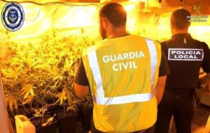 Pla mig de dos agents de la Guàrdia Civil i de la Policia Local de Calafell, d'esquenes, revisant el cultiu de marihuana localitzat a Calafell. EIX