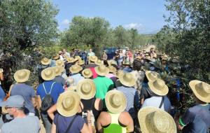 Prop de 300 persones participen a la Verema Solidària per 