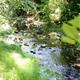 Descoberta+del+Cam%c3%ad+del+Riu+a+Sant+Sadurn%c3%ad+d%27Anoia