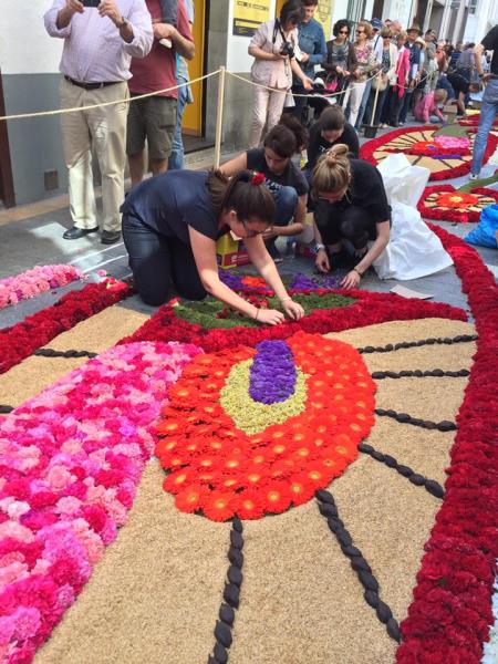 Catifes De Cuina Costaneres