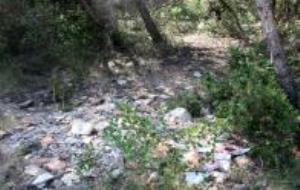 Tram de bosc a Vilanova i la Geltrú amb restes de cinta policial dels Mossos d'Esquadra, a la zona on s'investiga l'aparició d'un cadàver amb signes d