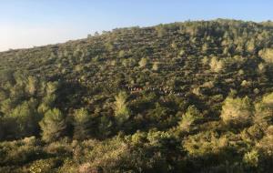 Tres-cents excursionistes recorren el Garraf en la vintena Caminada Popular de Sitges