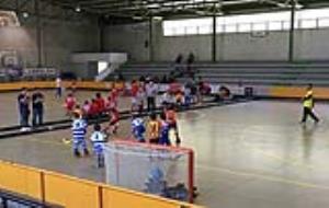 Trobada Final de curs d’escoles d’Hoquei del Penedès, Garraf, Anoia i Baix Llobregat