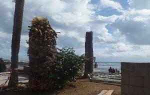Un cap de fibló fa caure fanals i palmeres i destrossa una carpa a Sitges