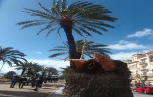 Un cap de fibló fa caure fanals i palmeres i destrossa una carpa a Sitges