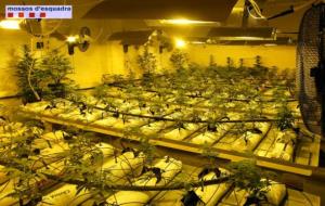 Un dels hivernacles utilitzats per cultivar marihuana a Sant Quintí de Mediona. Mossos d'Esquadra