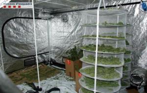Un dels hivernacles utilitzats per cultivar marihuana a Sant Quintí de Mediona