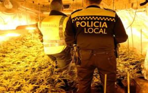 Un detingut al Vendrell per elaboració, cultiu i tràfic de marihuana i frau de fluid elèctric. Guàrdia Civil