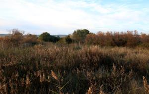 Un estudi geològic permetrà recrear com era l’espai natural de Les Madrigueres fa més de 12.000 anys