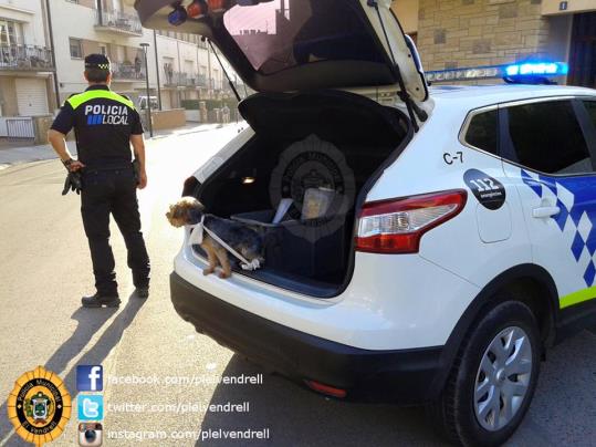 Un home de 30 anys, intoxicat en l'incendi de casa seva al Vendrell. Policia local El Vendrell