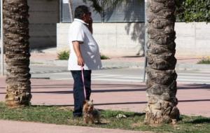 Un home passejant el gos en una zona enjardinada de Sitges. ACN