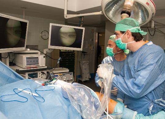 Una nova cirurgia que implanta teixit porcí pot revolucionar el tractament del trencament del lligament encreuat anterior del genoll. Generalitat de C