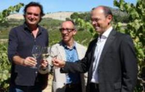 Una nova vinya i el trasllat de l’elaboració a la Finca Viladellops garanteixen la continuïtat de la Malvasia de Sitges