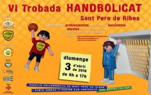 VI Trobada d'Handbol. Eix