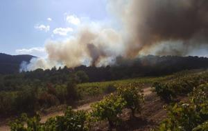 28 dotacions dels bombers treballen en un incendi forestal a Sant Martí Sarroc