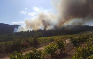 28 dotacions dels bombers treballen en un incendi forestal a Sant Martí Sarroca. Ramon Delgado