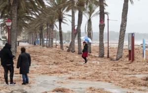 A Cubelles, el front marítim ha quedat cobert d'algues arrossegades pel temporal