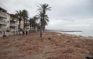 A Cubelles, el front marítim ha quedat cobert d'algues arrossegades pel temporal