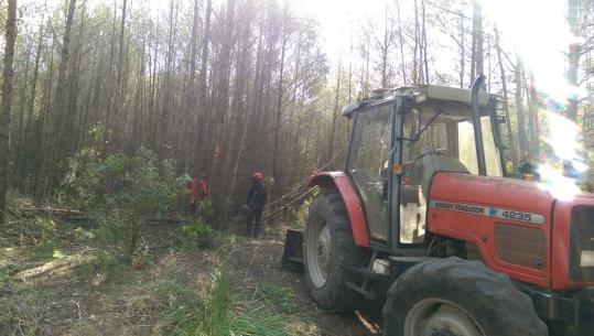 Aclarida forestal a can Pere de la Plana al juny de l'any passat. Ajt Sant Pere de Ribes