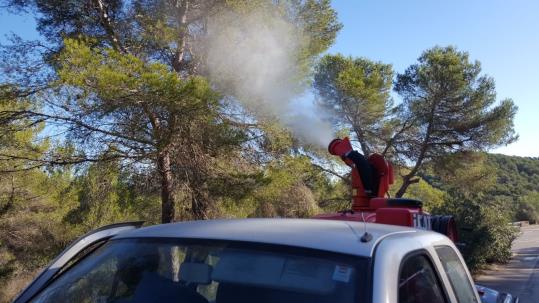 Actuació especial preventiva a Canyelles contra l'eruga processionària del pi. Ajuntament de Canyelles