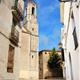 Visita+guiada+per+la+Geltr%c3%ba+mil%c2%b7len%c3%a0ria