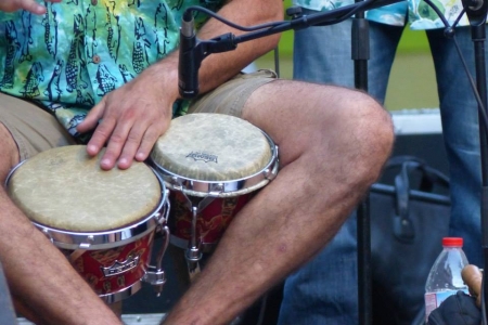 Dia Internacional de la Música a Vilanova