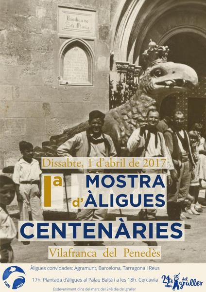 Un tomb per la Vila, I Mostra d’àligues centenàries