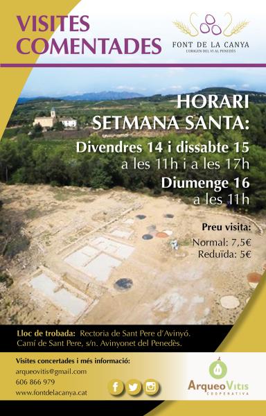 Visita guiada l'origen de la vinya i el vi al Penedès