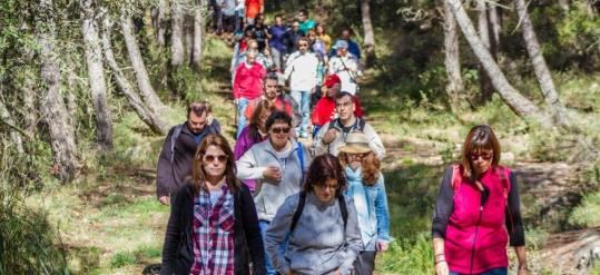 MICROVI 2017. Naturvi - Passejada i tast entre vinyes