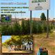 +Plantada+d%27arbres+als+horts+municipals+urbans