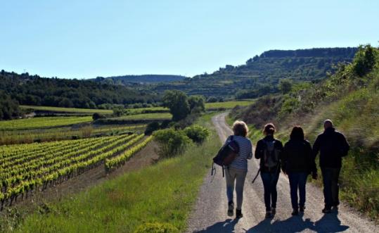 Caminada popular pel 46è Aplec del Pa i l’Empenta