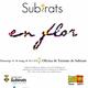 Subirats+en+Flor+-+Festa+de+la+primavera+2017